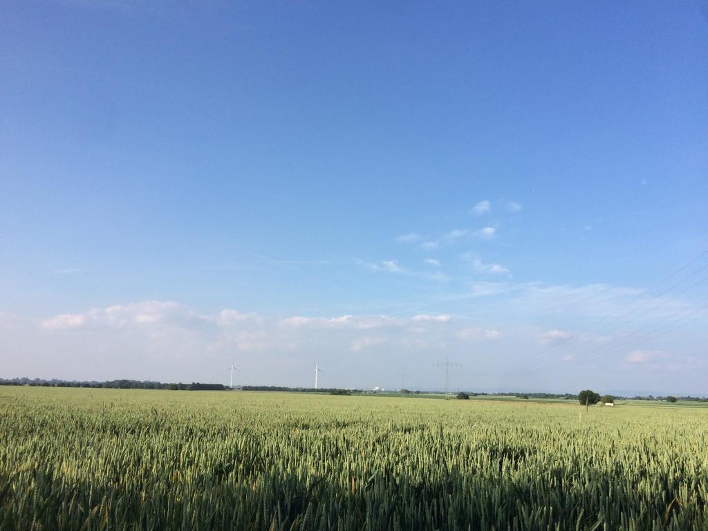 Alte Heimat Apartment Schwegenheim ภายนอก รูปภาพ
