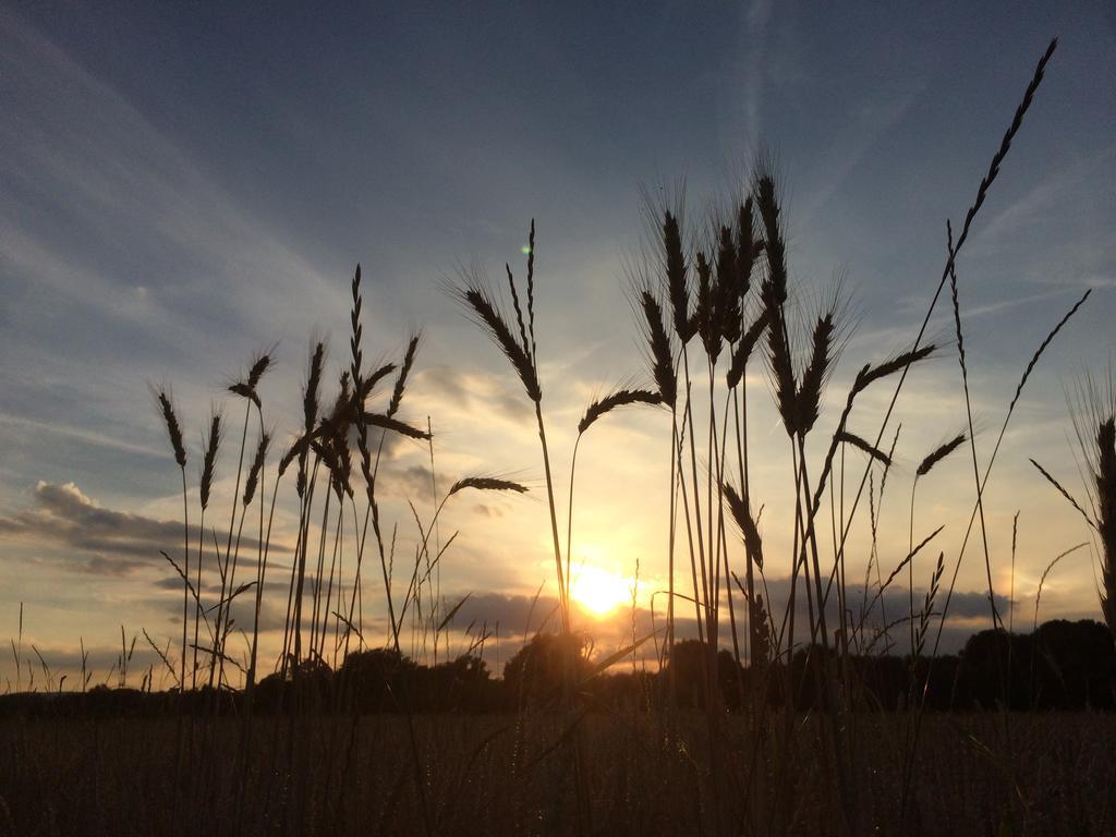 Alte Heimat Apartment Schwegenheim ภายนอก รูปภาพ