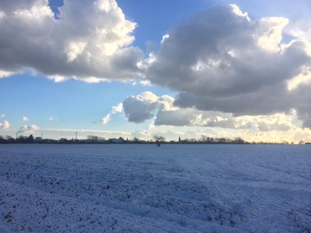 Alte Heimat Apartment Schwegenheim ภายนอก รูปภาพ
