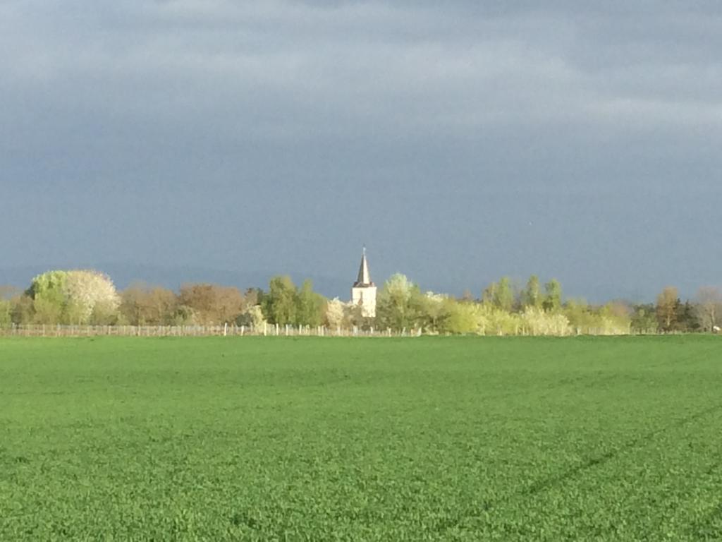 Alte Heimat Apartment Schwegenheim ภายนอก รูปภาพ
