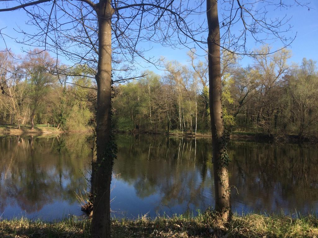 Alte Heimat Apartment Schwegenheim ภายนอก รูปภาพ
