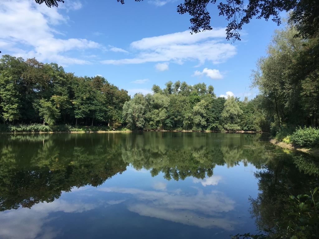 Alte Heimat Apartment Schwegenheim ภายนอก รูปภาพ